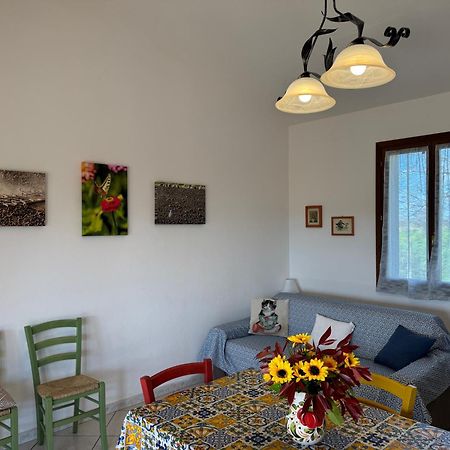 Agriturismo I Debbi Bibbona Exteriör bild