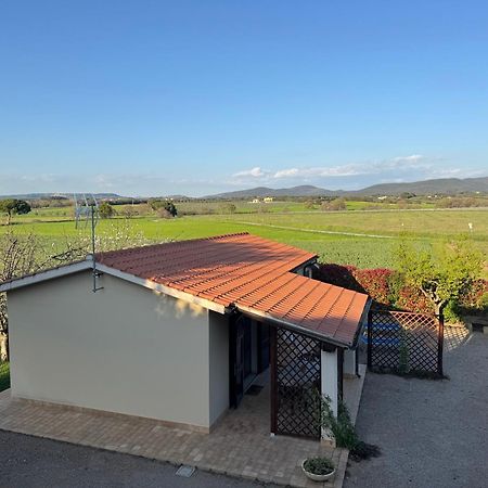 Agriturismo I Debbi Bibbona Exteriör bild