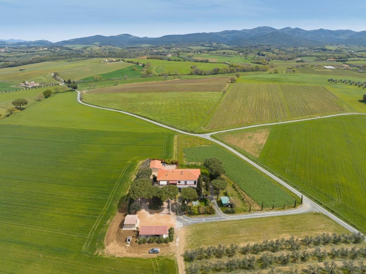 Agriturismo I Debbi Bibbona Exteriör bild