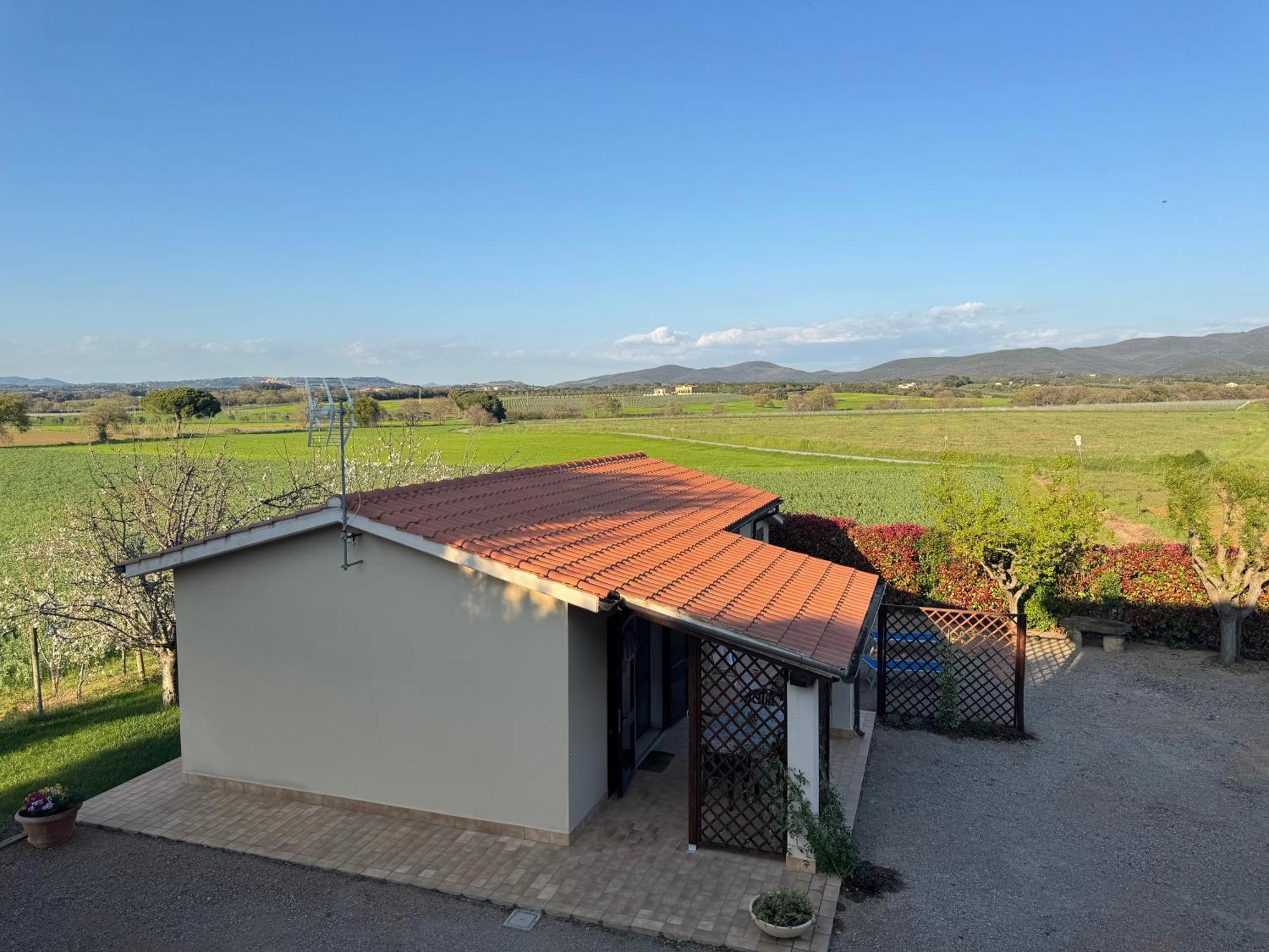 Agriturismo I Debbi Bibbona Exteriör bild